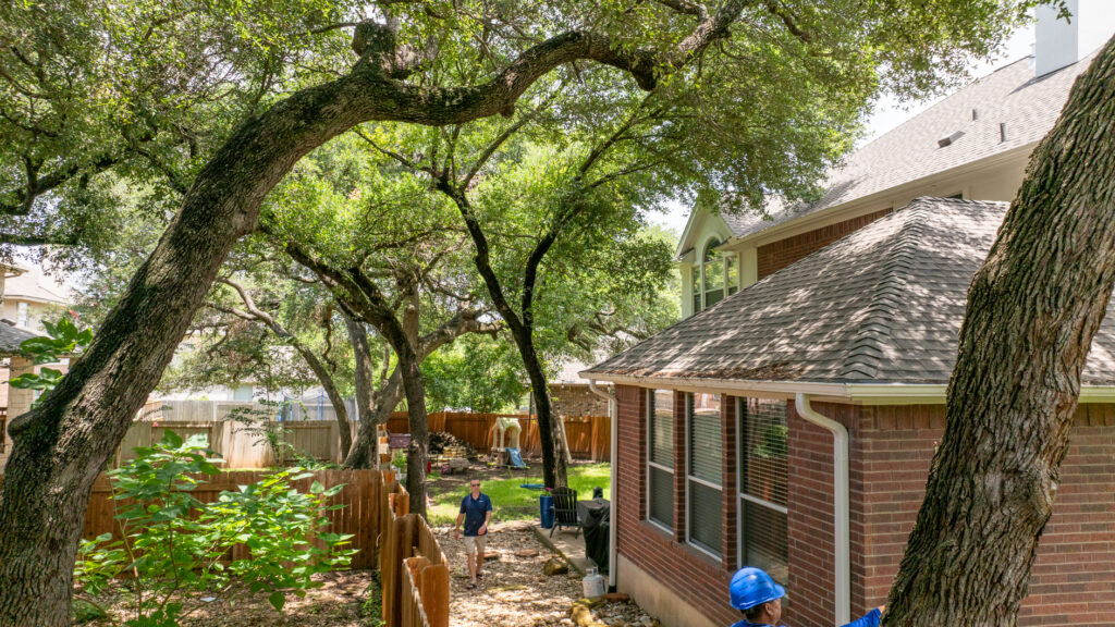 aerial view of side of home wiht large trees surrounding it. One man in brown shorts and blue shirt walking in the middle; tree trimming, tree services, tree removal