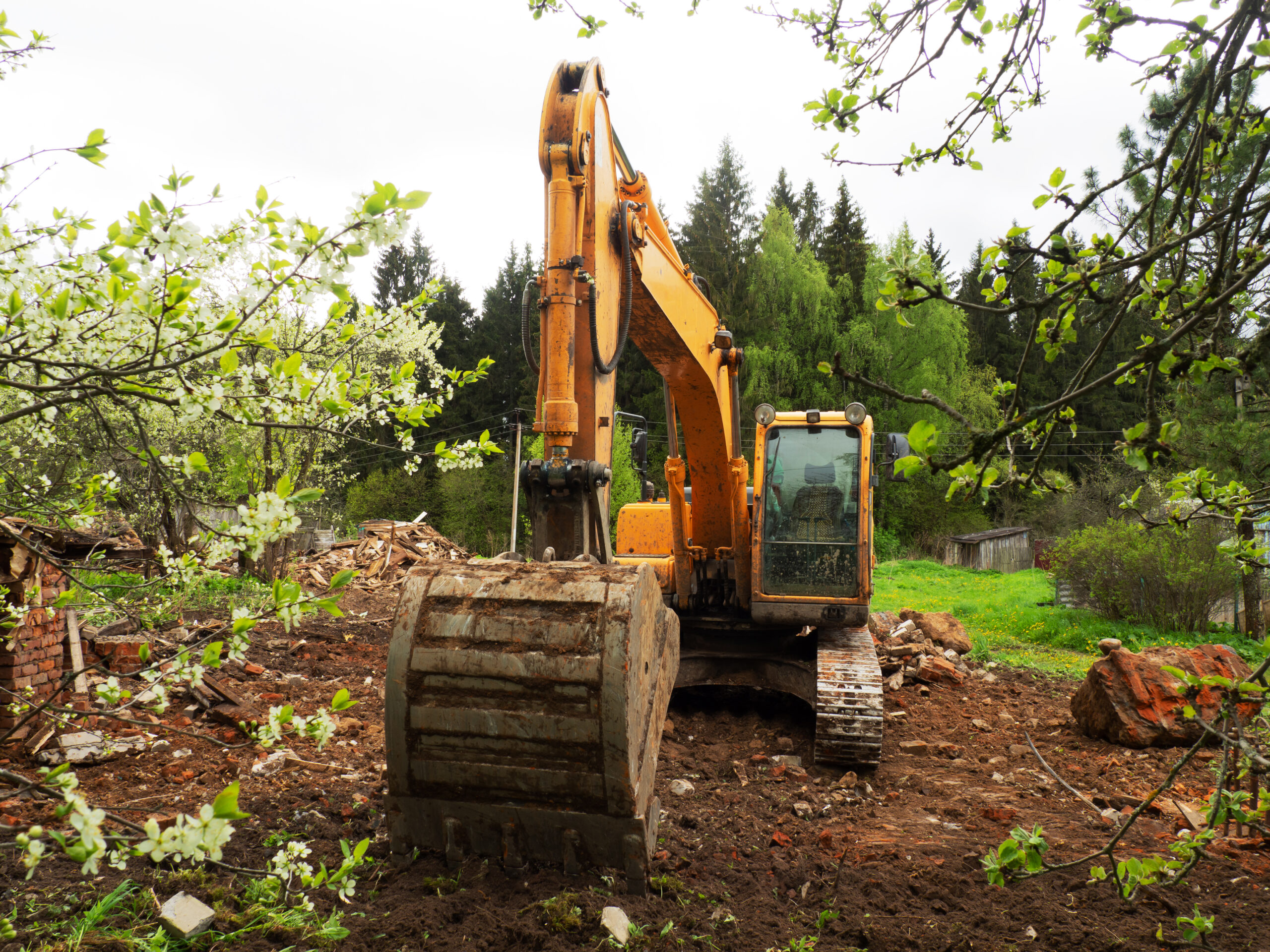 Land Clearing and Professional Tree Removal in Round Rock and Austin TX