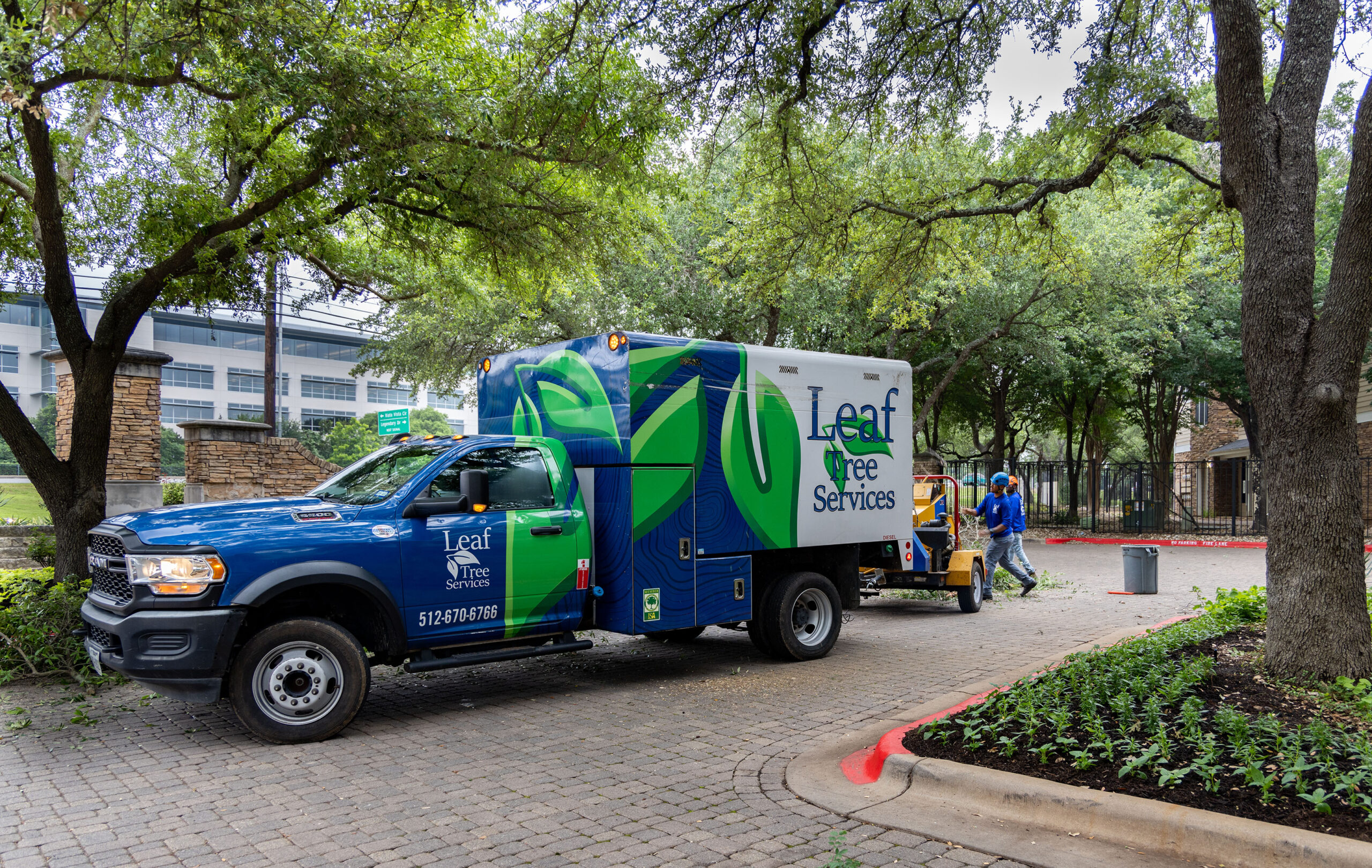 Tree Care Services for Tree Removal in Round Rock and Austin TX