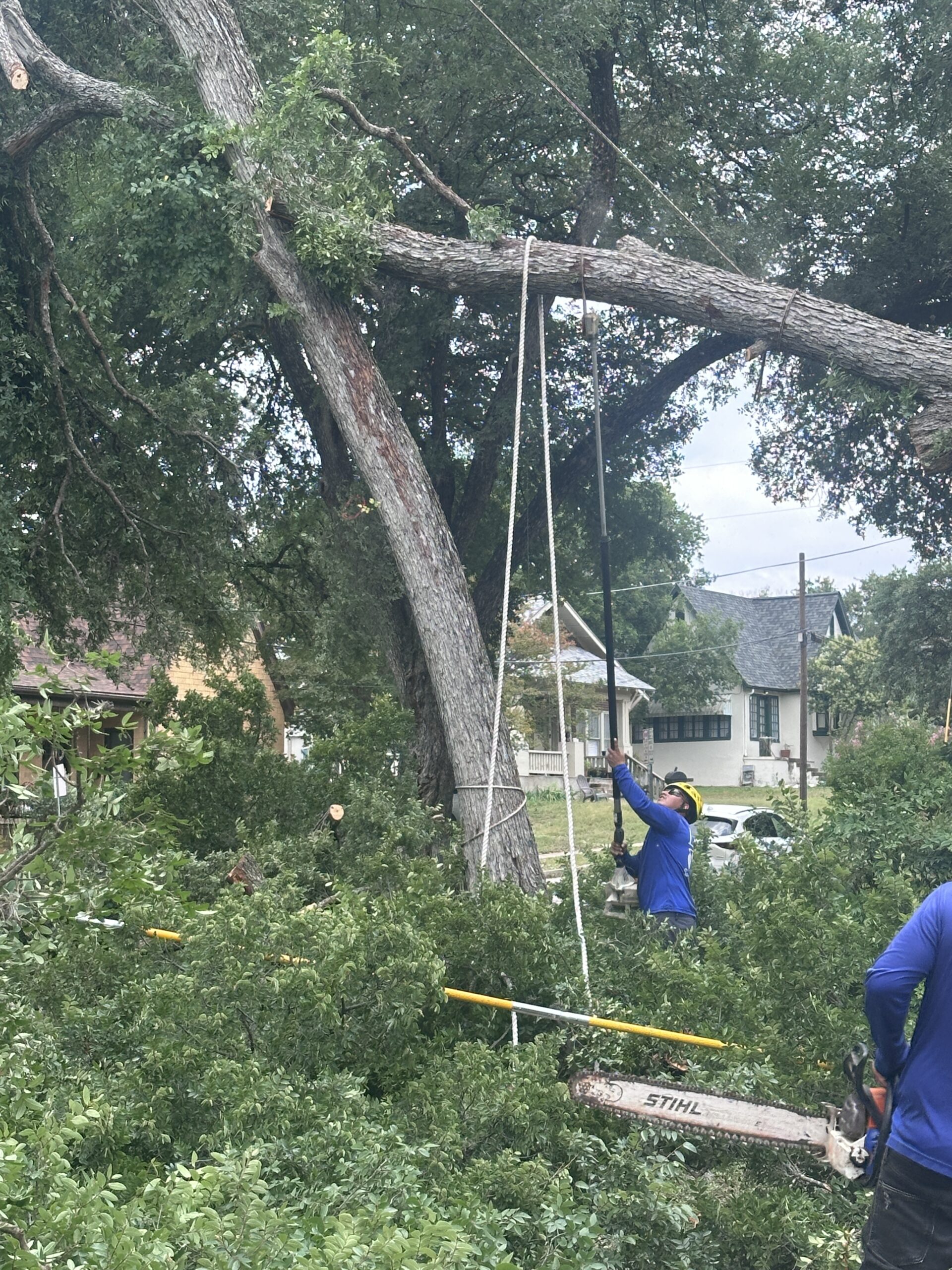 Storm Damage Tree Removal in Austin: What to Do After the May 28th Microburst
